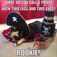 Bad Jokes: Pirate Edition