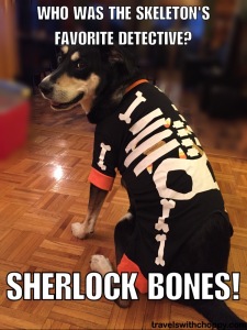 who was the skeleton's favorite detective - sherlock bones