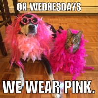 On Wednesdays, We Wear Pink